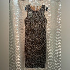 Beautiful NWOT J. Crew Dress